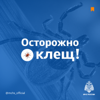 Памятка " Осторожно клещ" Памятка " Осторожно клещ".